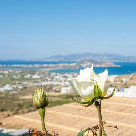 7days I Relax With Private Jacuzzi & Seaview Agkidia