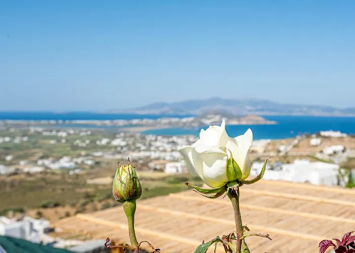 7days I Relax With Private Jacuzzi & Seaview Agkidia